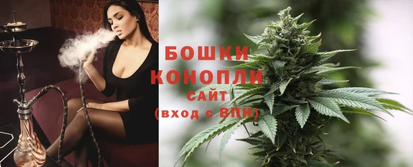 гидропоника Горнозаводск