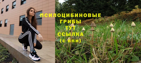 гидропоника Горнозаводск