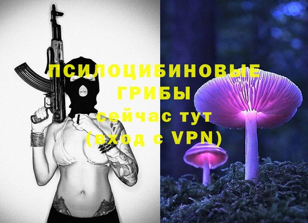 MESCALINE Горно-Алтайск