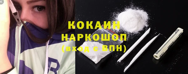 гидропоника Горнозаводск