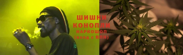 гидропоника Горнозаводск
