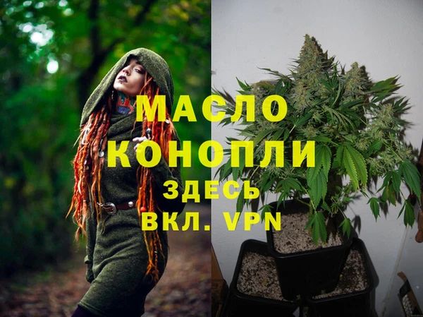 гидропоника Горнозаводск