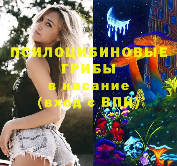 гидропоника Горнозаводск