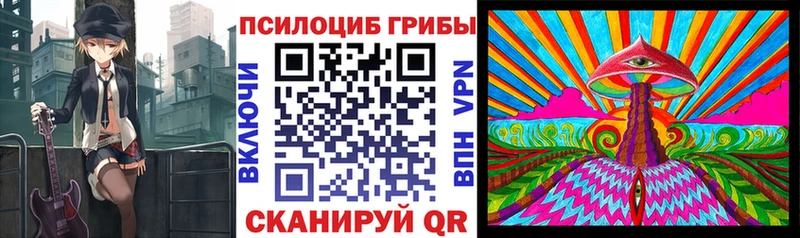 Купить  Кувандык  Псилоцибиновые грибы Psilocybine cubensis 
